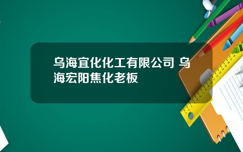 乌海宜化化工有限公司 乌海宏阳焦化老板